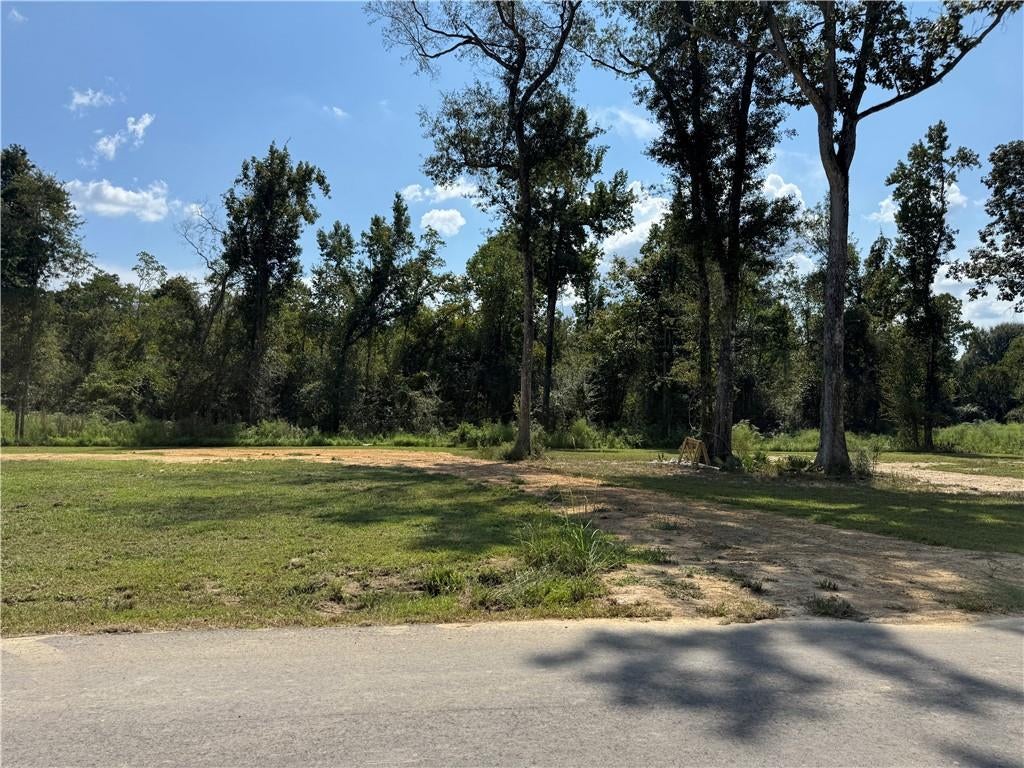 29446 LINDA'S HAVEN Road