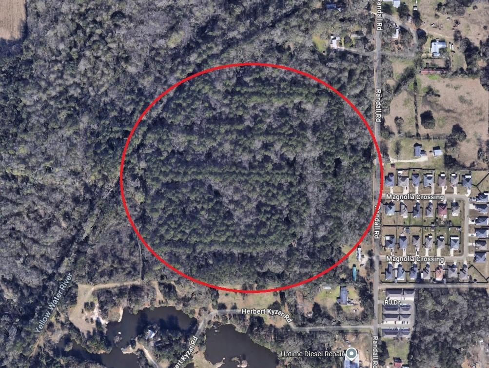 39 Acres RANDALL Road