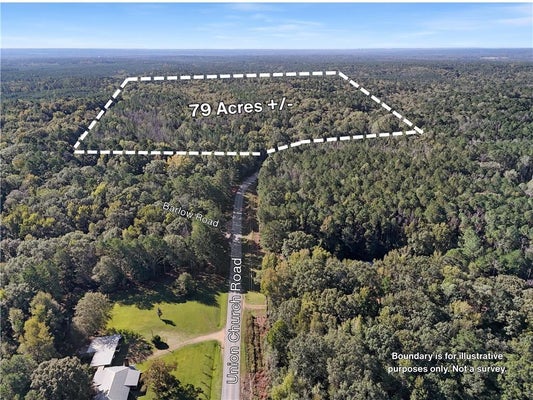 UNION CHURCH RD, MEADVILLE, MS 39653 - Image d57ff81a082e704b58a8a67c27dde6d5/1012704843