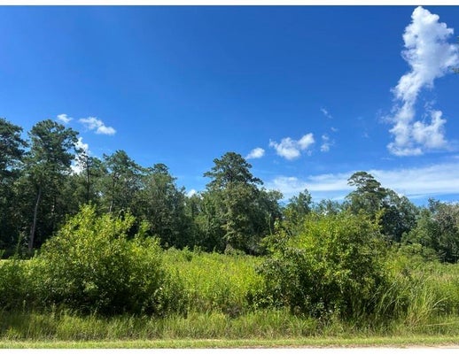 0 MAX MERCER ROAD, PEARL RIVER, LA 70452 - Image d5cc6cfbdc42e74427ba5fde31c9b4a6/4115854777