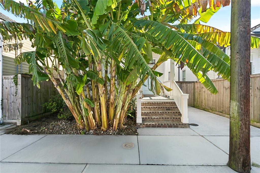 1231 FELICIANA Street