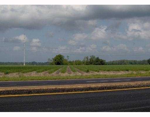 Lot 6 ELVINA PLANTATION