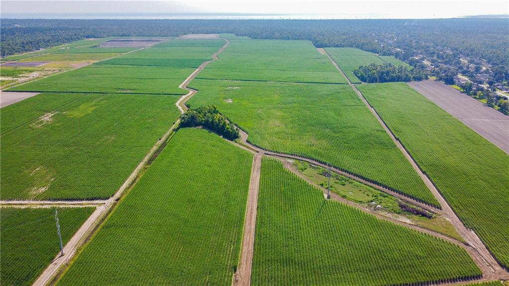Lot 6 ELVINA PLANTATION