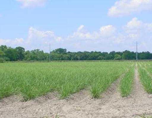 Lot 6 ELVINA PLANTATION