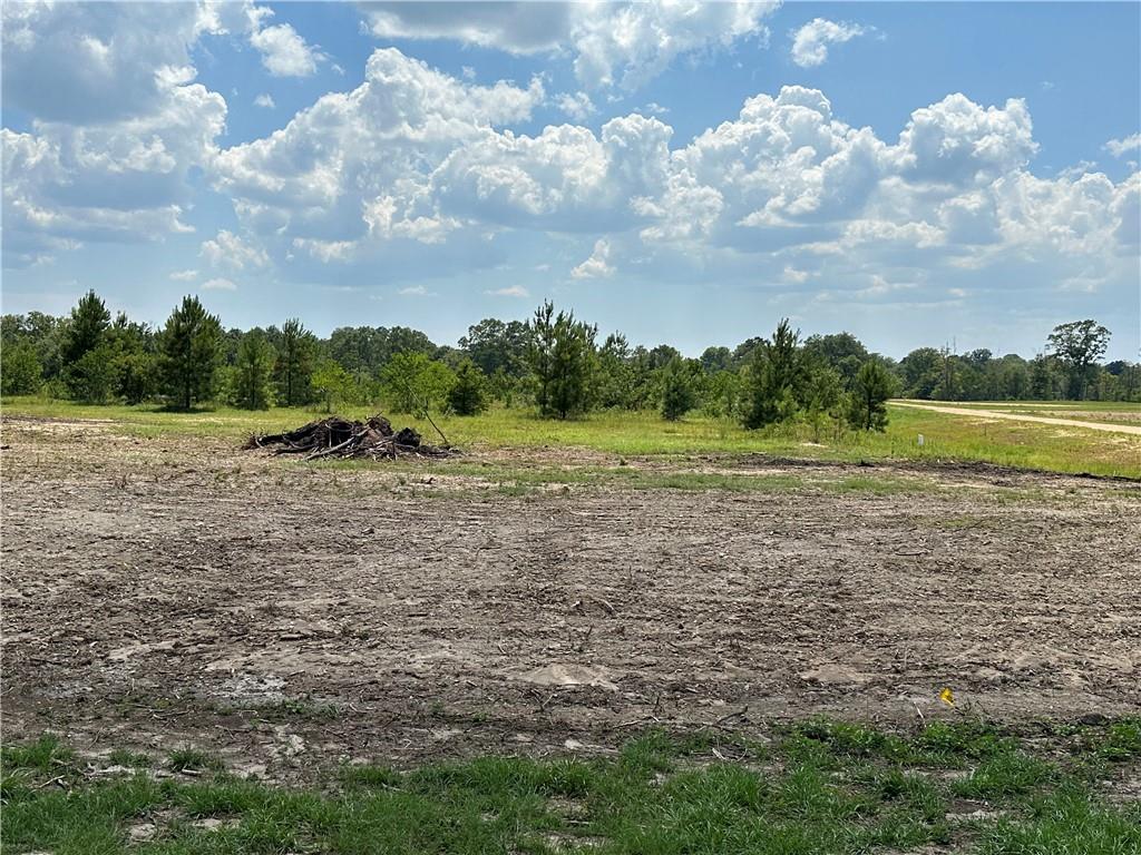 Lot 32 THE BANKS DRIVE, HWY 16 Highway