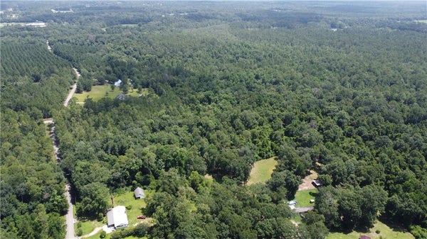 115 ACRES WATTS THOMAS ROAD, BUSH, LA 70431 - Image d79ac5eb2a22c24f7b35d4dfbd932893/3128982686