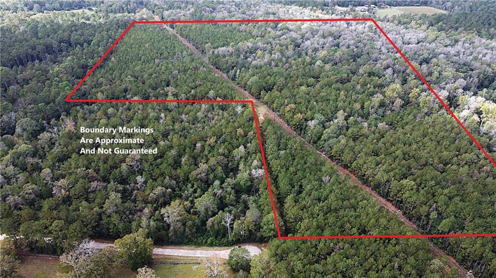 49 Acres HOLLIDAY Road