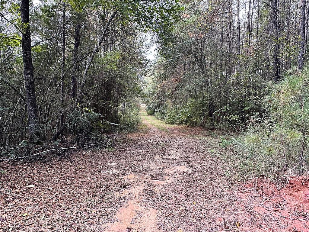 49 Acres HOLLIDAY Road