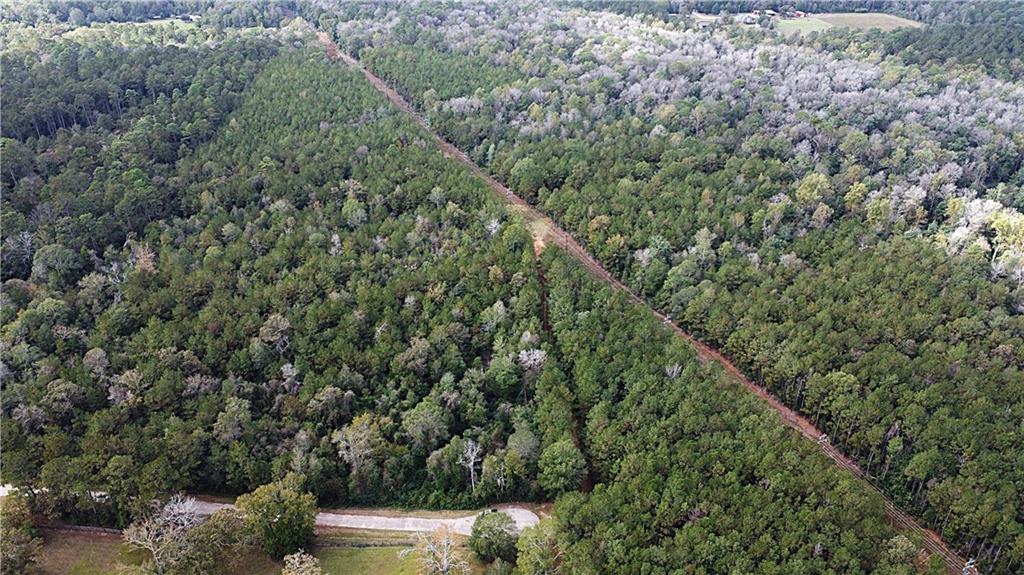 49 Acres HOLLIDAY Road