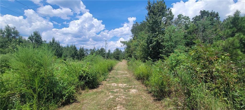 TBD Lot 8 WHITPALM Drive