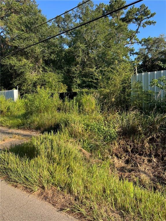 0 BROWNS VILLAGE Road