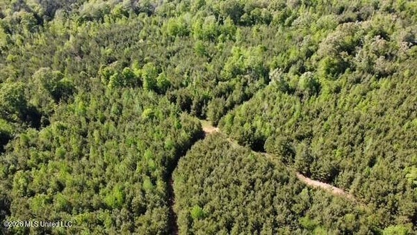 AUBURN DR SW, BOGUE CHITTO, MS 39629 - Image de5e5d9d7be27953b85bd2d0f87ecec3/1004073872