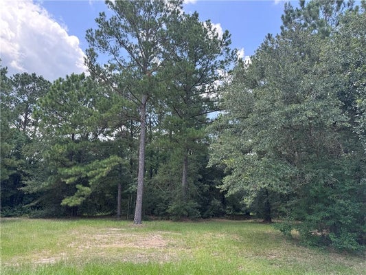 111 WINDERMERE WAY, MADISONVILLE, LA 70447 - Image df268a6ffa38dbe47c542dc79cfa36d8/3921016971