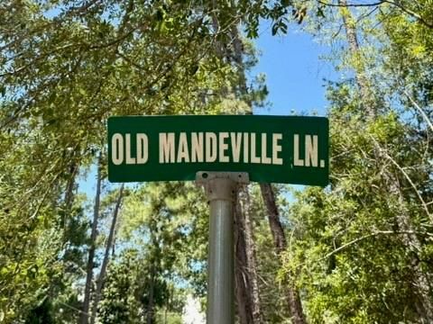 Lot 2 OLD MANDEVILLE Lane Mandeville LA 70448