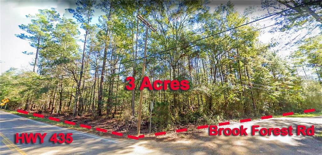 0 BROOK FOREST Road