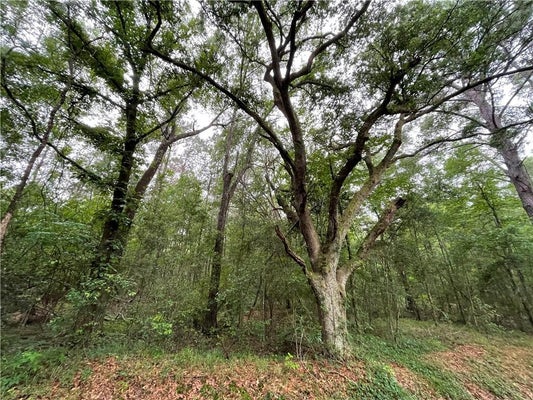 BRUHL ROAD, FOLSOM, LA 70437 - Image e48ce22dff12b3d647403a72eda2bc9c/1418504897