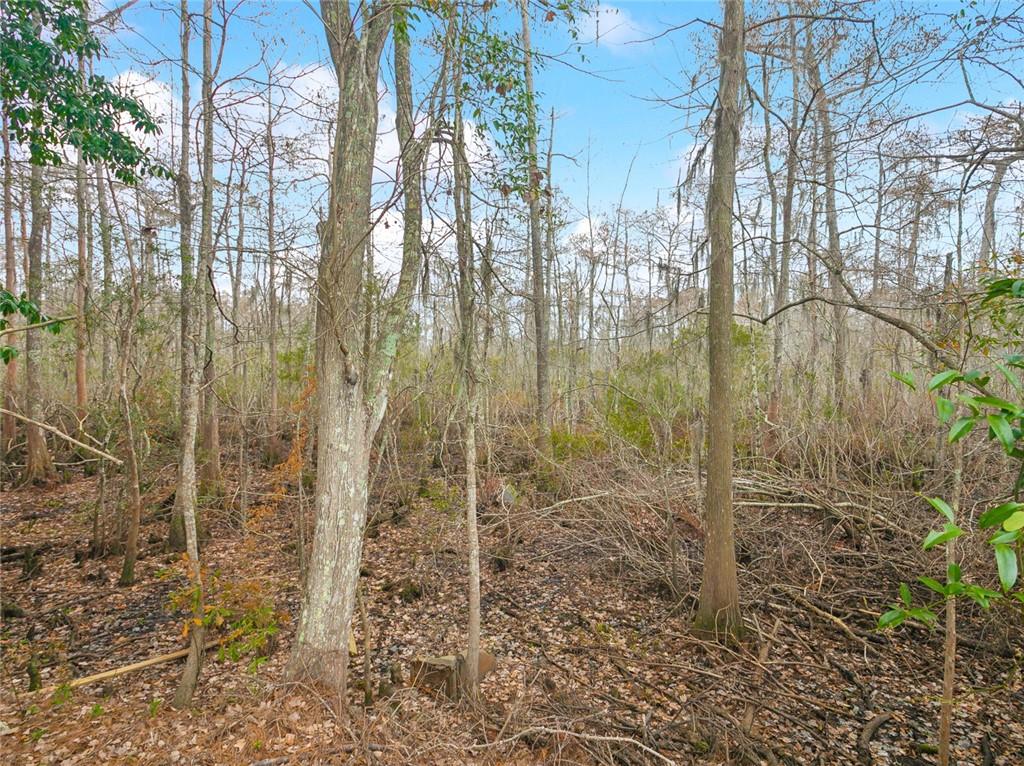 Mandeville, Louisiana 70471, United States, ,Land,Active,92289