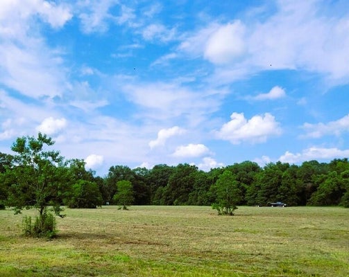 ED YATES RD, PEARL RIVER, LA 70452 - Image e8efe0cdb4002c3bf35b4ca47b0fb1ef/4046896693