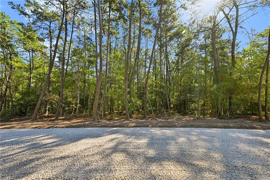 Parcel 4-B LOBLOLLY RIDGE Drive