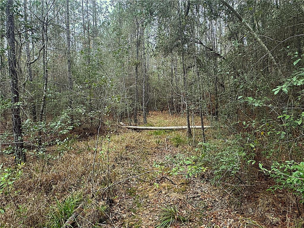 24414 POLARIS Street