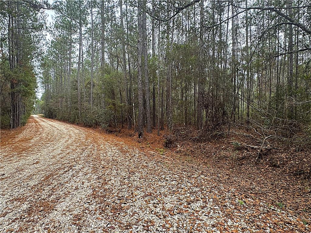 24414 POLARIS Street