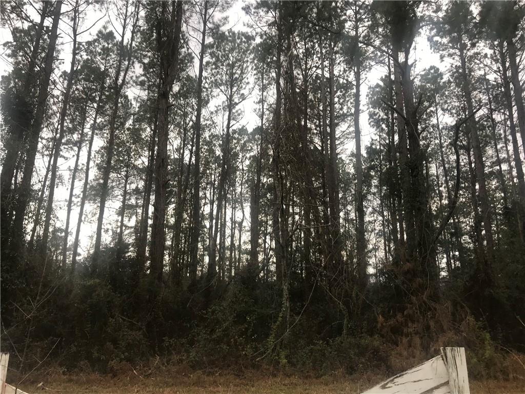 Robert, Louisiana 70455, United States, ,Land,Pending,56002