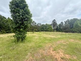 35030 SUNNY HILL Road