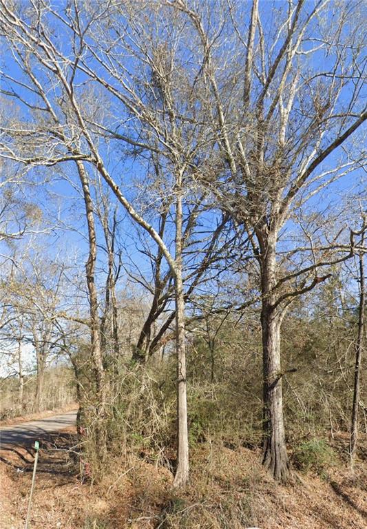 B-1 OLAN BANKSTON Road