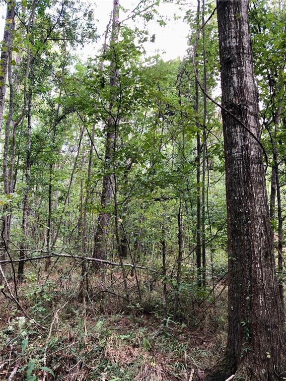 42.65 Acres PETERS Road