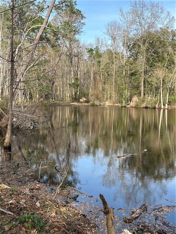 Hammond, Louisiana 70403, United States, 3 Bedrooms Bedrooms, ,3 BathroomsBathrooms,Residential,Active,65395