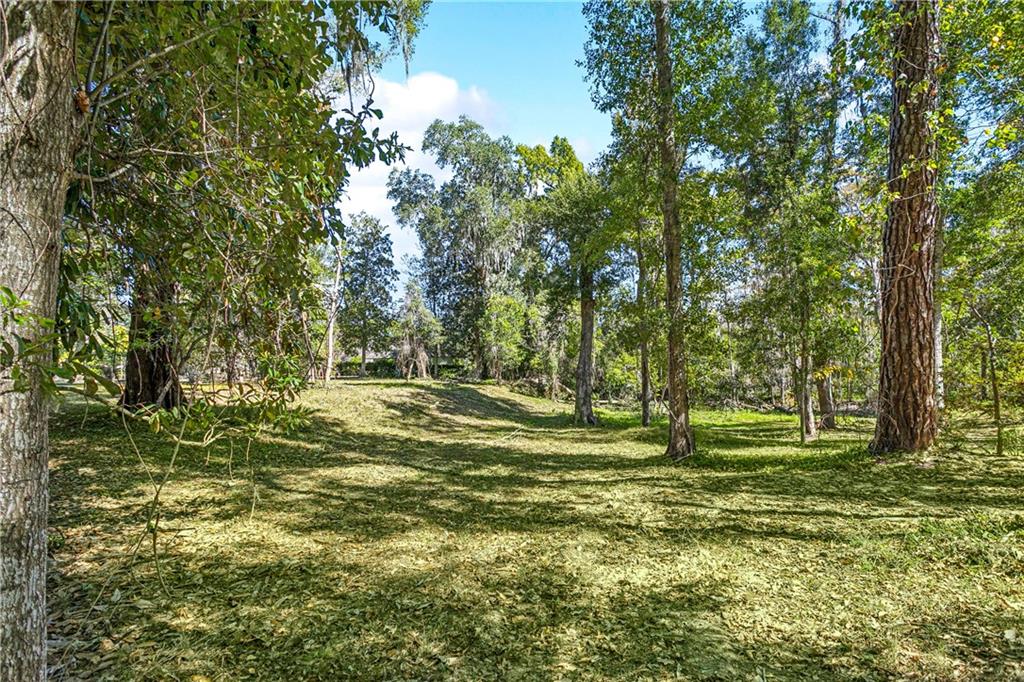 11 LAKE FOREST Drive