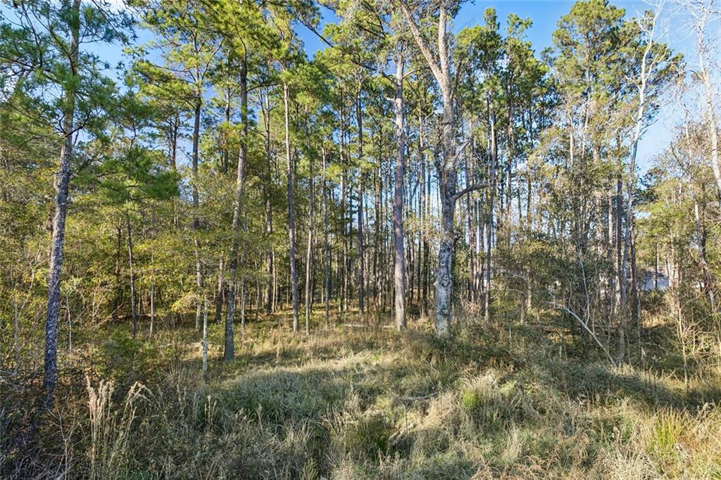 12561 GOLDENTOP Drive