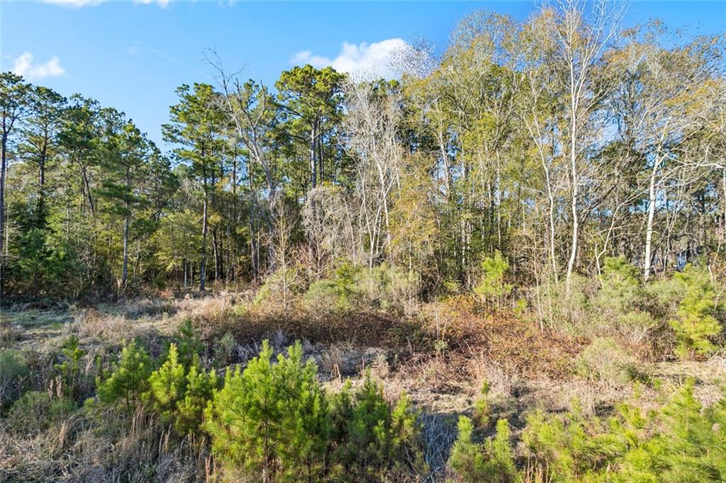 12561 GOLDENTOP Drive