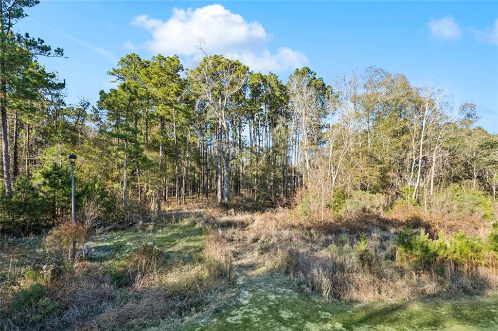 12561 GOLDENTOP Drive