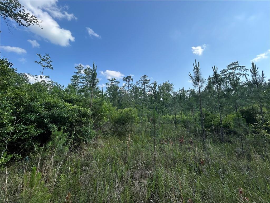 View Lacombe, LA 70445 land