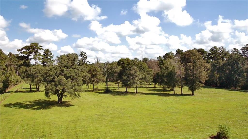 lot 1 CAREW HARRIS Road