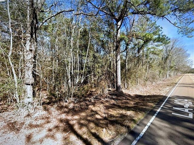 LA HWY 424 - LOT 4