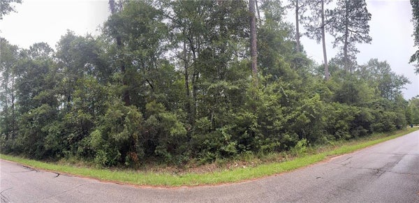 0 W RUTH ROAD, LACOMBE, LA 70445 - Image fe6b65faf280baea9c3541a476b1042e/14544910