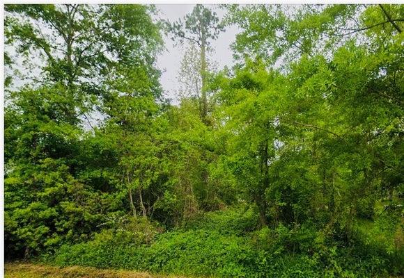 MAGNOLIA DR, PONCHATOULA, LA 70454 - Image fed5fc493d1205ef4d1fb5fb7a73453e/482327080