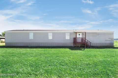 Photo of 328 Bias Road, Branch, LA 70516 (MLS # 2500003312)