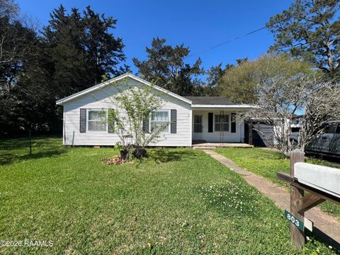 Photo of 803 Poplar Street, Lafayette, LA 70501 (MLS # 2600002175)