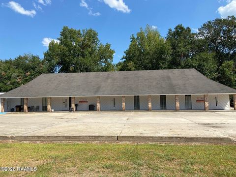 Photo of 119 Hansel Street, New Iberia, LA 70560 (MLS # 2600000334)