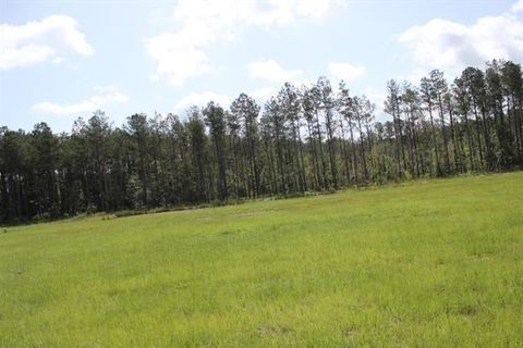 Photo of 29644 Billy Joe Road, Independence, LA 70443 (MLS # NO2543052)