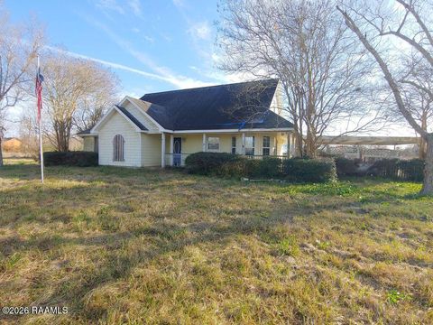 Photo of 213 Coyote Run Lane, Iota, LA 70543 (MLS # 2600000755)
