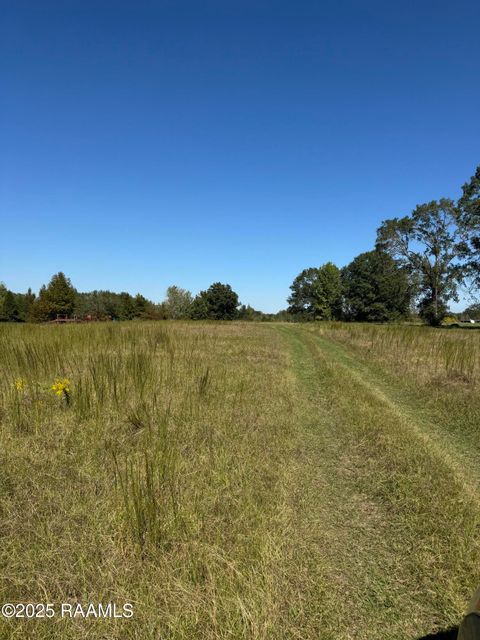 Photo of 000 Pointe Verte, Washington, LA 70589 (MLS # 2500004445)