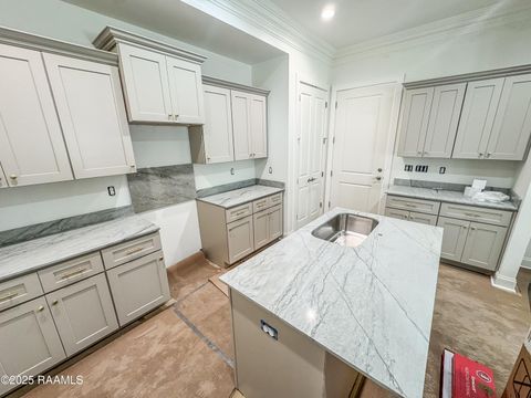 Photo of 223 Berchman Oaks Drive, Lafayette, LA 70506 (MLS # 2500004097)