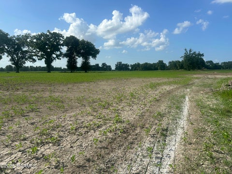 Photo of Oscar Rivette Road, Arnaudville, LA 70512 (MLS # 2600005932)