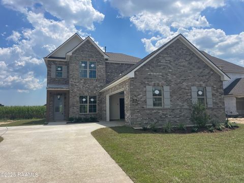 Photo of 303 Benson Grove Drive, Youngsville, LA 70592 (MLS # 2020024334)