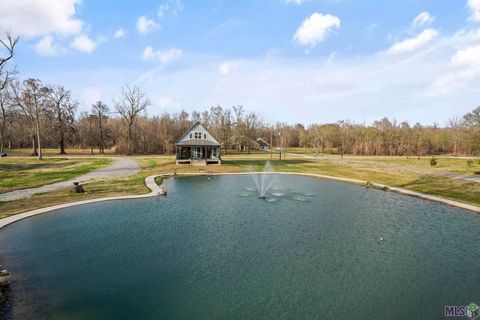 Photo of 10082 Swanson Rd, Port Allen, LA 70767 (MLS # BR2026003187)