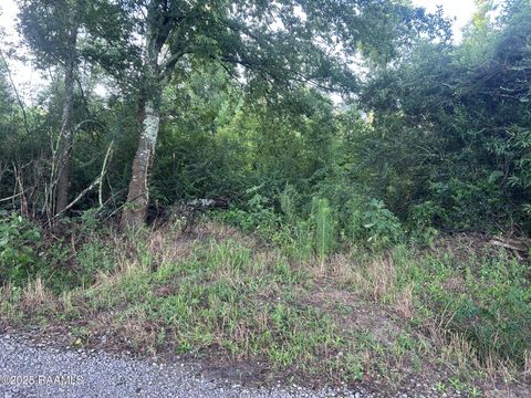 Photo of Tbd Bienville Road, Ville Platte, LA 70586 (MLS # 2500006479)